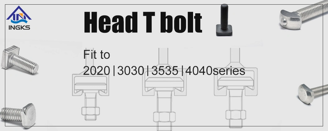 Zinc Steel Factory Supply T Type Rectangle Head Bolts with Round Hole